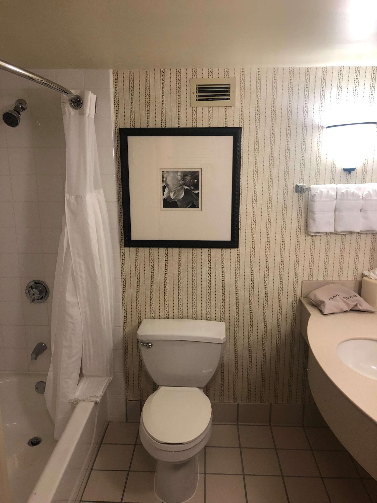Hilton Garden Hotel Addison